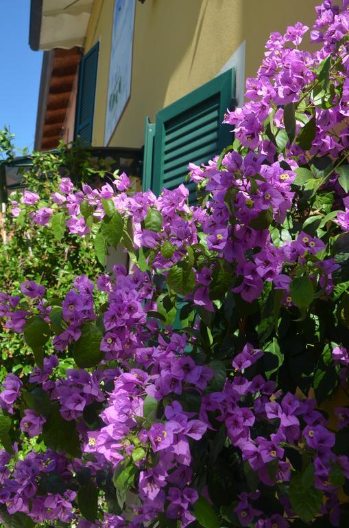 La Meridiana Affittacamere Colorno Εξωτερικό φωτογραφία